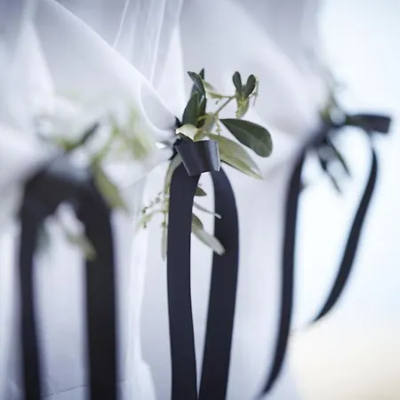 Blue Dream Palace Tripiti