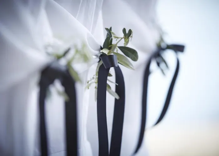 Blue Dream Palace Tripiti